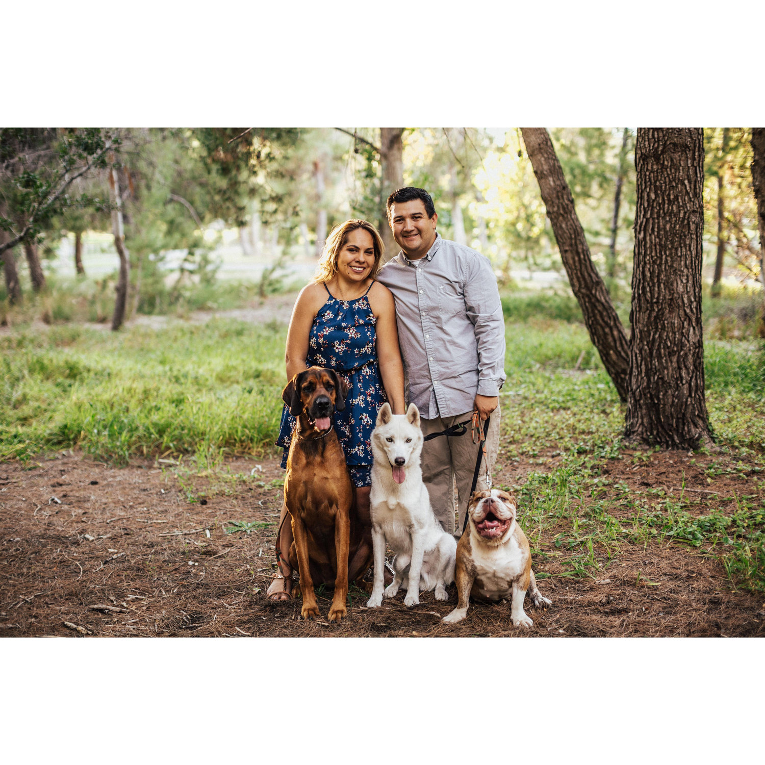 Our Little Family
