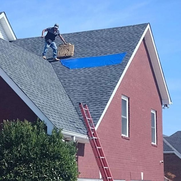 Help us get a roof!