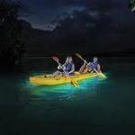 Bioluminescent Bay - Laguna Grande Fajardo