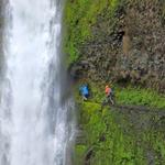 Columbia River Gorge Hiking