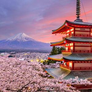 Japan Honeymoon Fund