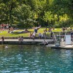 Barton Springs Pool