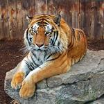 Living Treasures Animal Park