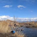 Saratoga Hot Springs