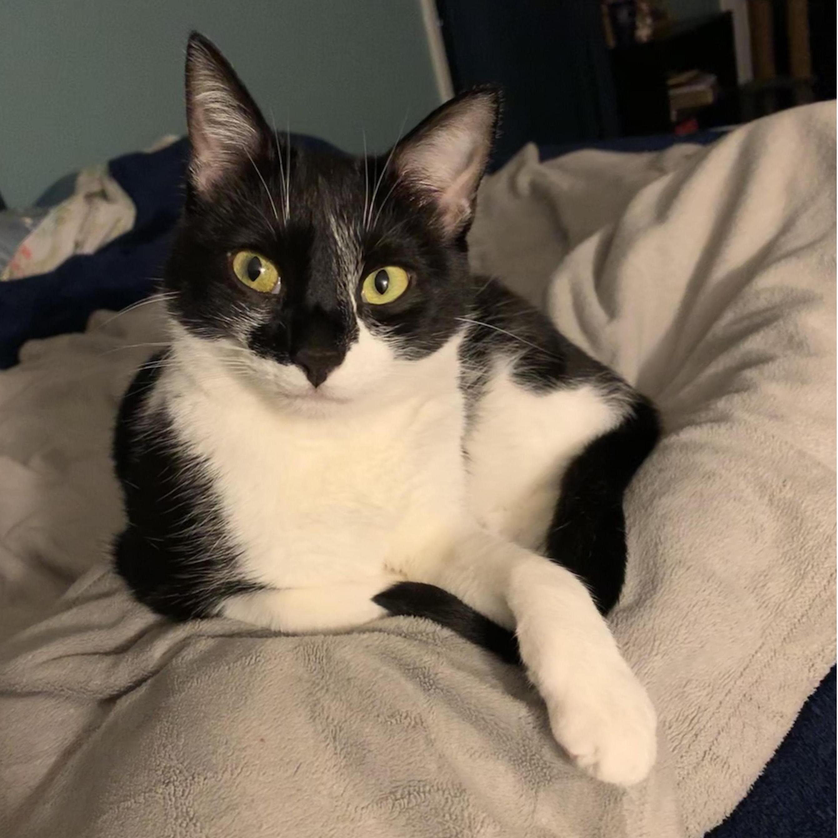 Speaking of cute...the other love of my life. Izzy is very excited to be getting a dad.