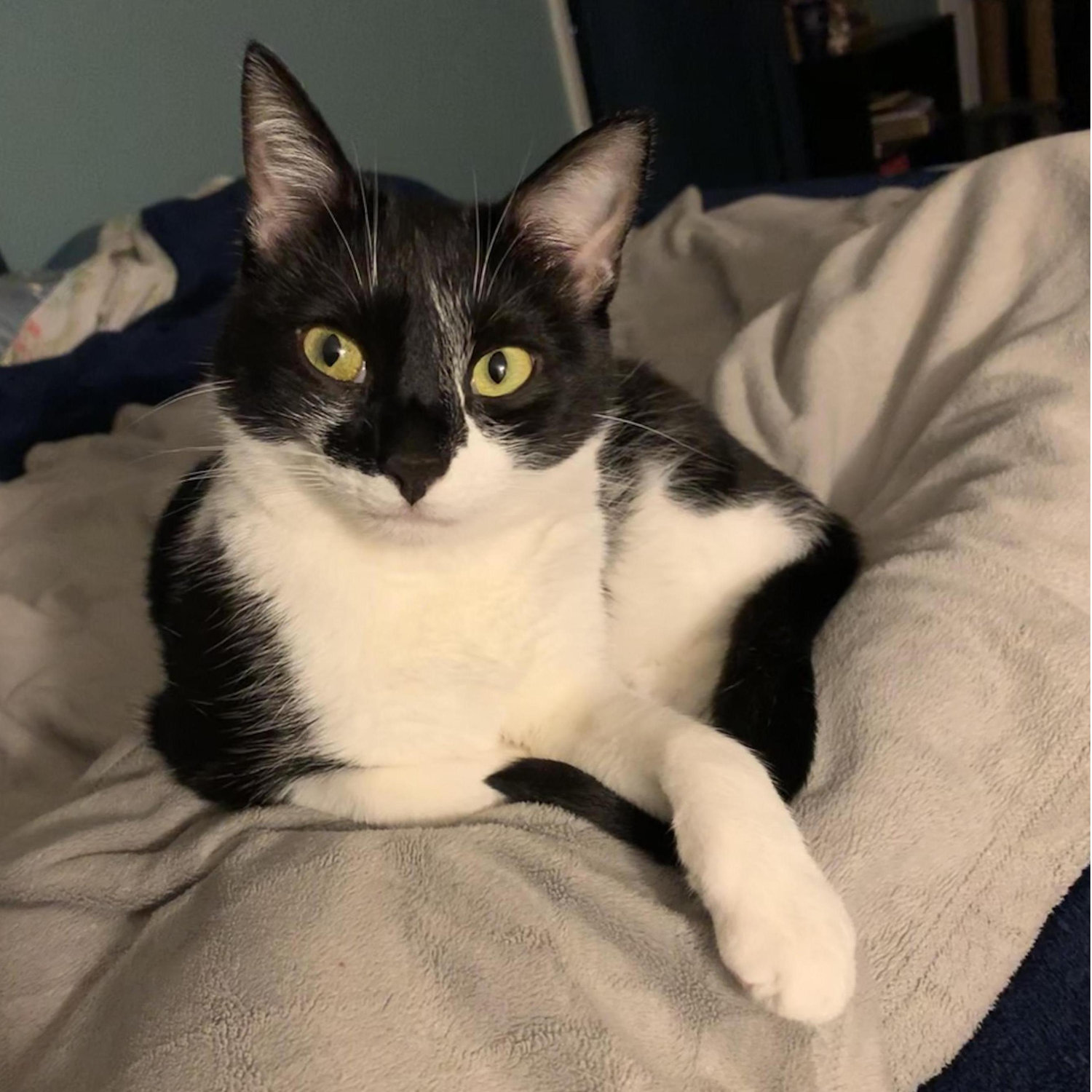 Speaking of cute...the other love of my life. Izzy is very excited to be getting a dad.
