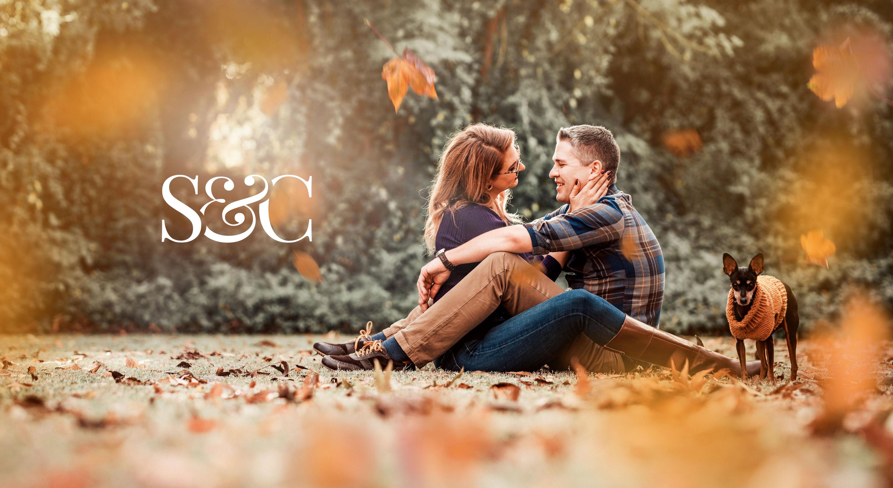 Footer image