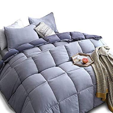 KASENTEX All Season Down Alternative Quilted Comforter Set Reversible Ultra Soft Duvet Insert Hypoallergenic Machine Washable, Queen, Quartz Silver/Pebble Grey