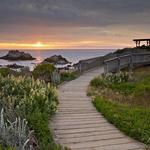 Asilomar State Beach