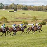 Virginia Fall Races