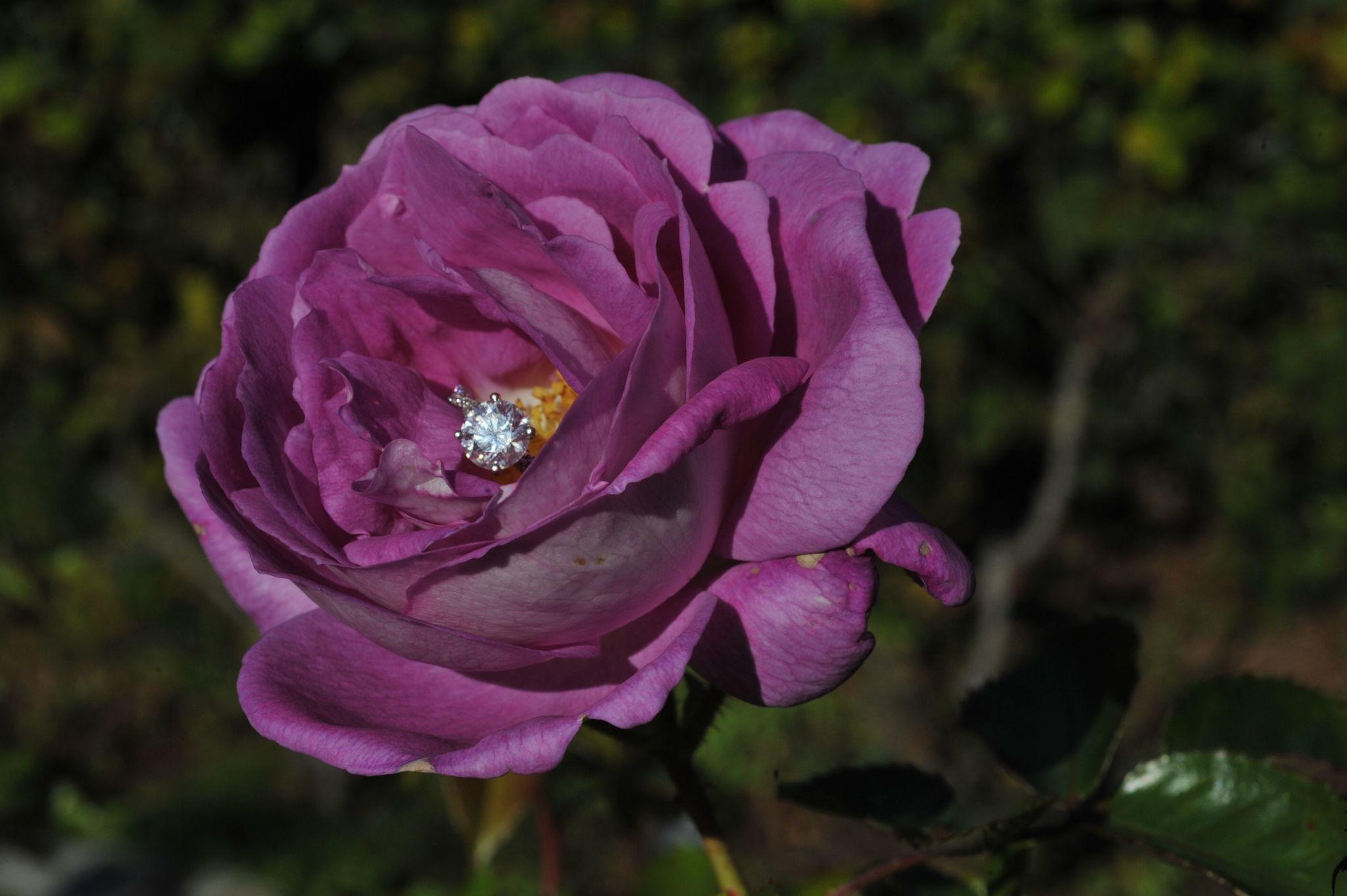 56c63da5-9d99-4064-93ac-006780440e25