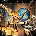 Perot Museum of Nature and Science