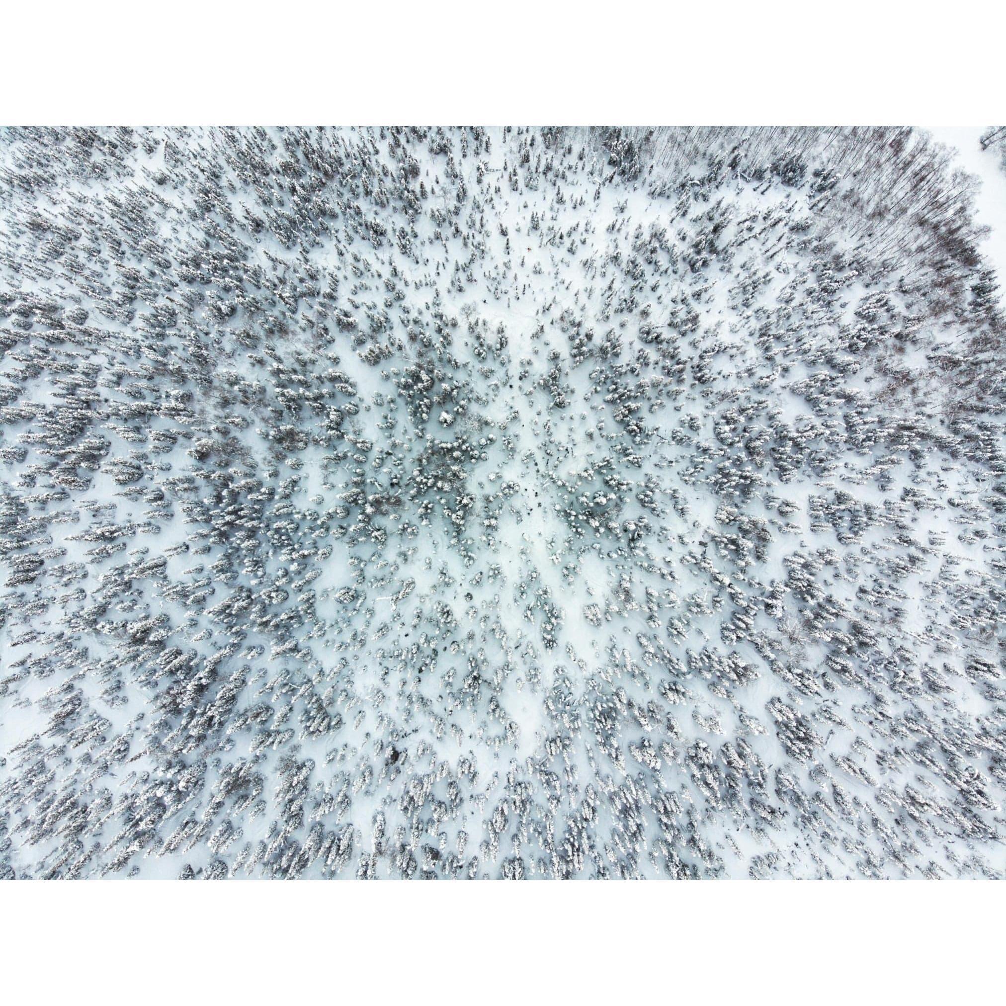 One of Oleg's favorite hobbies is drone photography and videography. This was taken at Ski Land, Alaska in March, 2018.
