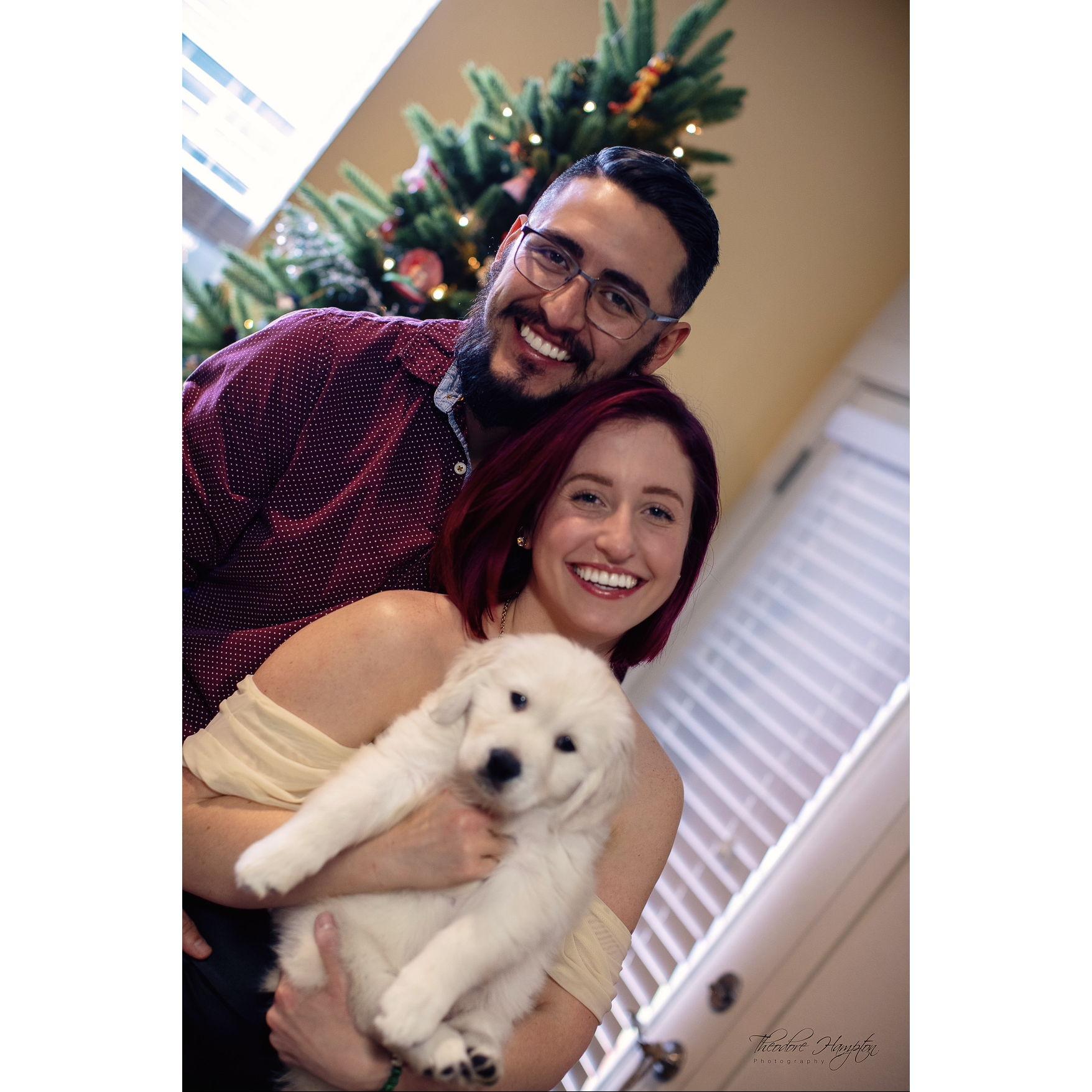 12 | 2020 When Appa came home!