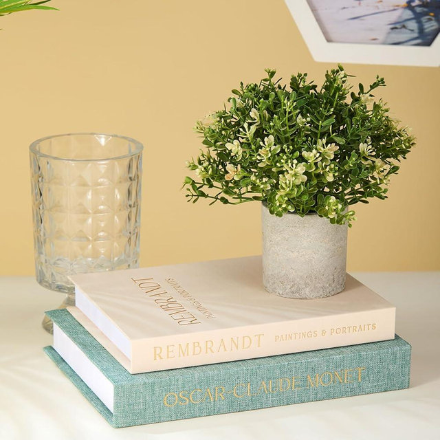 BAHNU Decorative Books Set of 2 - Linen Storage Boxes & Decorative Fake Books | Photo & Keepsake Storage Box for Home Decor | Coffee Table, Bookshelf & Aesthetic Shelf Decor