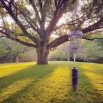 Druid Hill Park Disc Golf Course