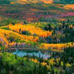 Guardsman Pass Scenic Drive