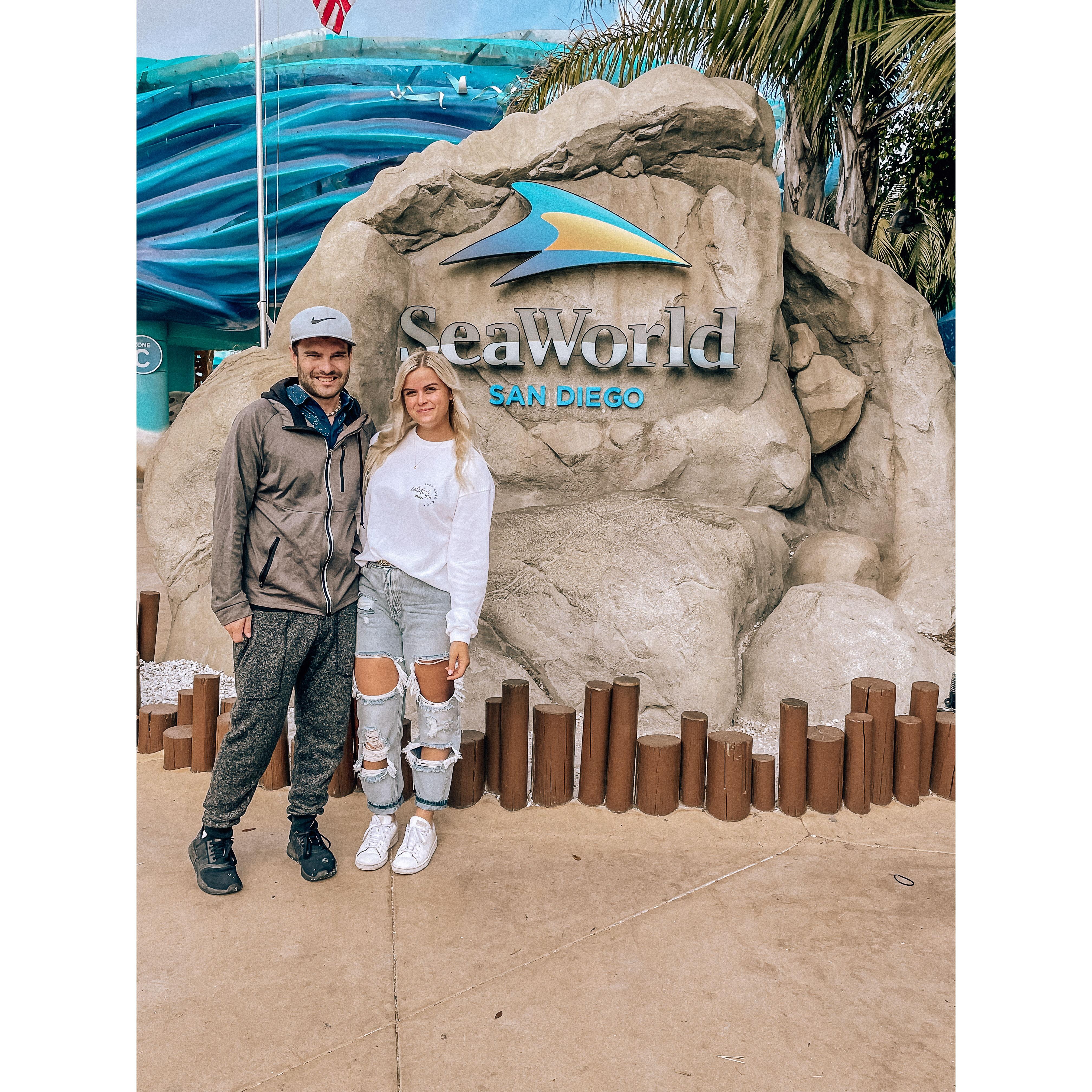 We've both always wanted to go to Sea World! The shows were amazing.