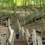 Sanctuary Woods Preserve