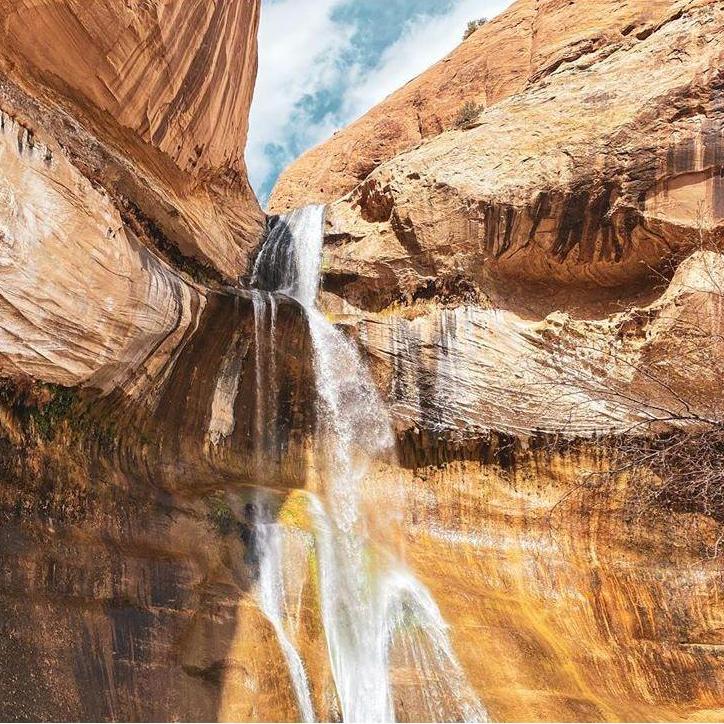 The stunning proposal backdrop.