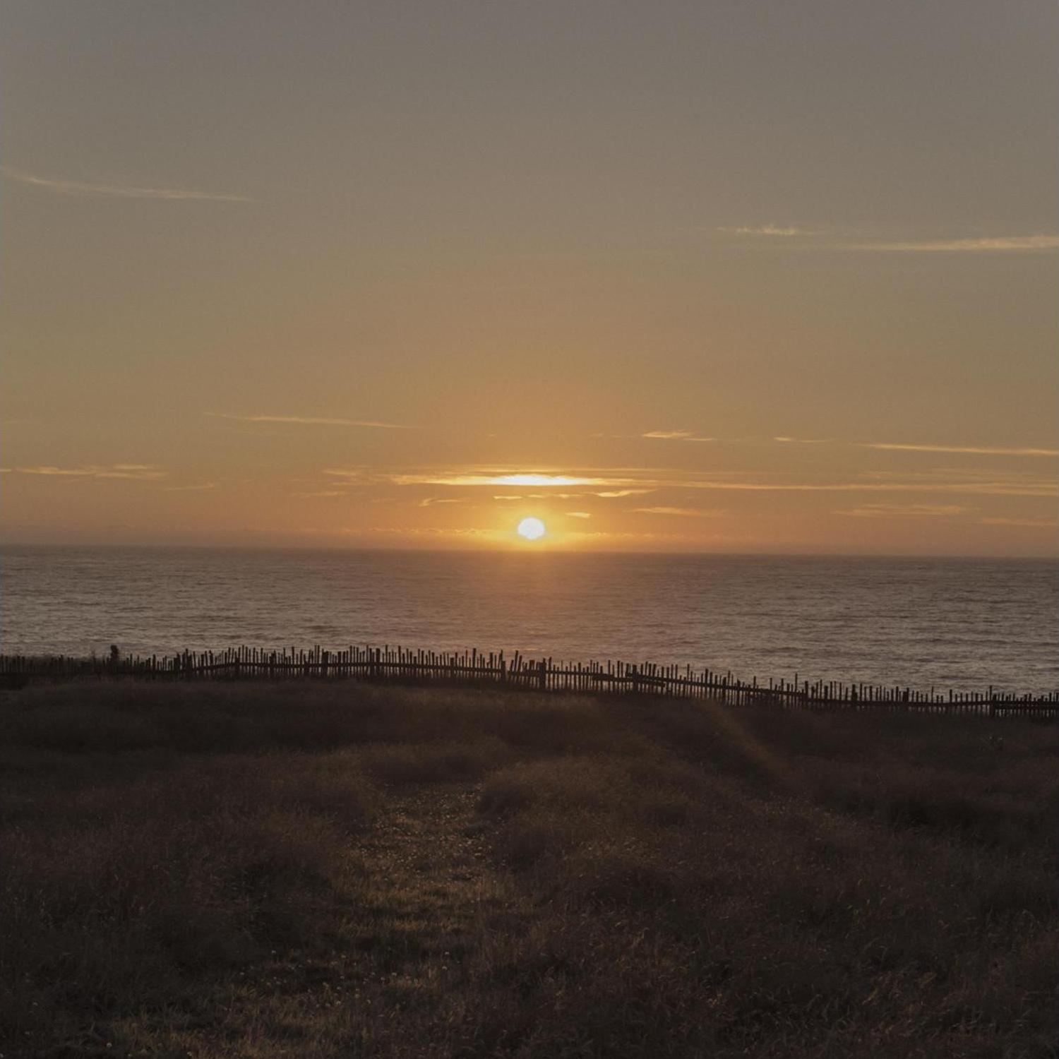 The Sunset at Switzer Farm