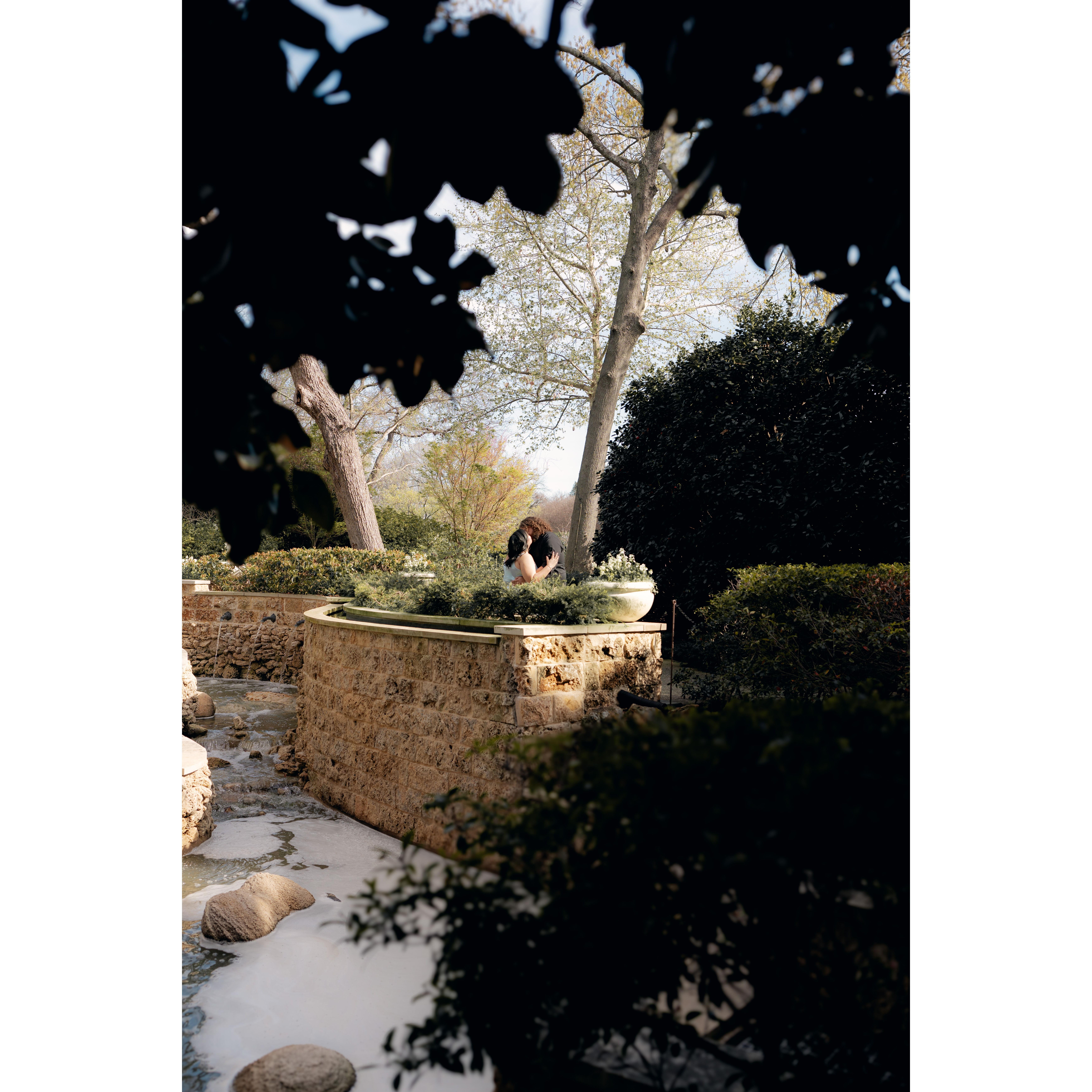 The Dallas Arboretum was enchanting to walk through! Truly, felt straight out of a fairytale.