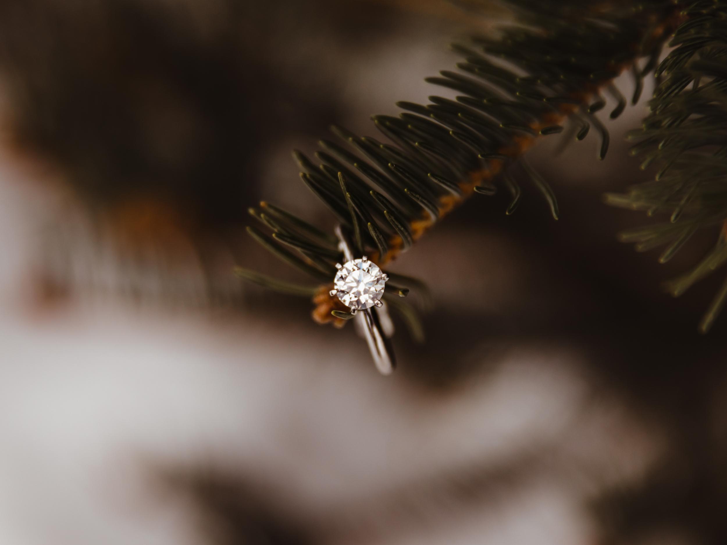 The Wedding Website of Rachel Nipple and Joe Ruelle