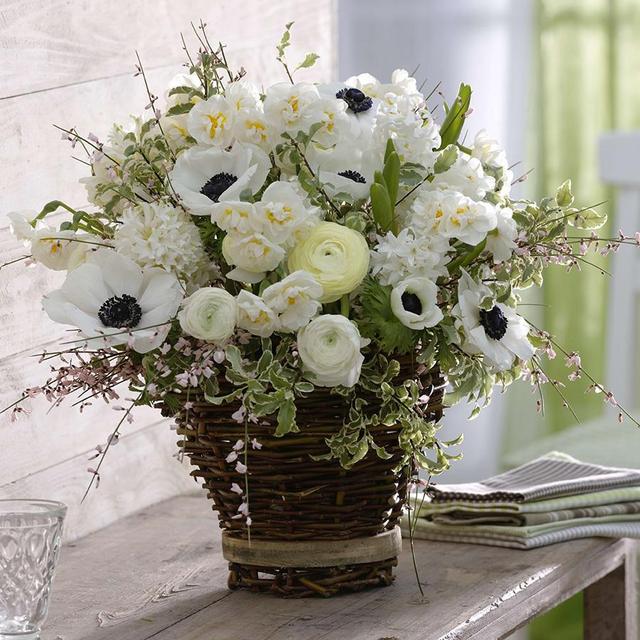 Fall Planted Bulbs - White Garden Collection