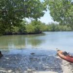 Oleta River State Park