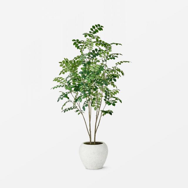 Moringa Artificial Tree Green - Threshold™ designed with Studio McGee