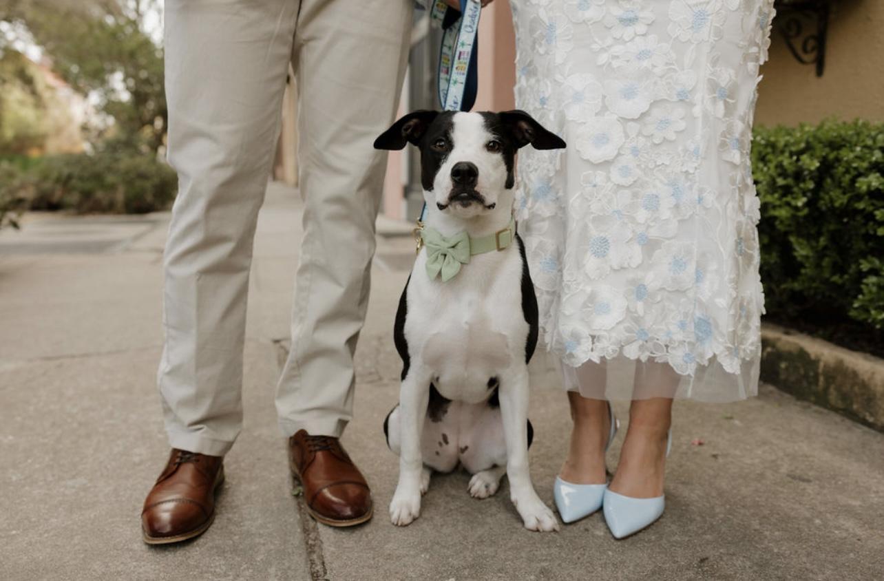 56cb8fa6-74a9-4b00-9029-67fe2d7f6fa2