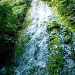 Parque Nacional La Tigra