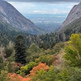 Rent or Take A Guided ATV/UTV Tour