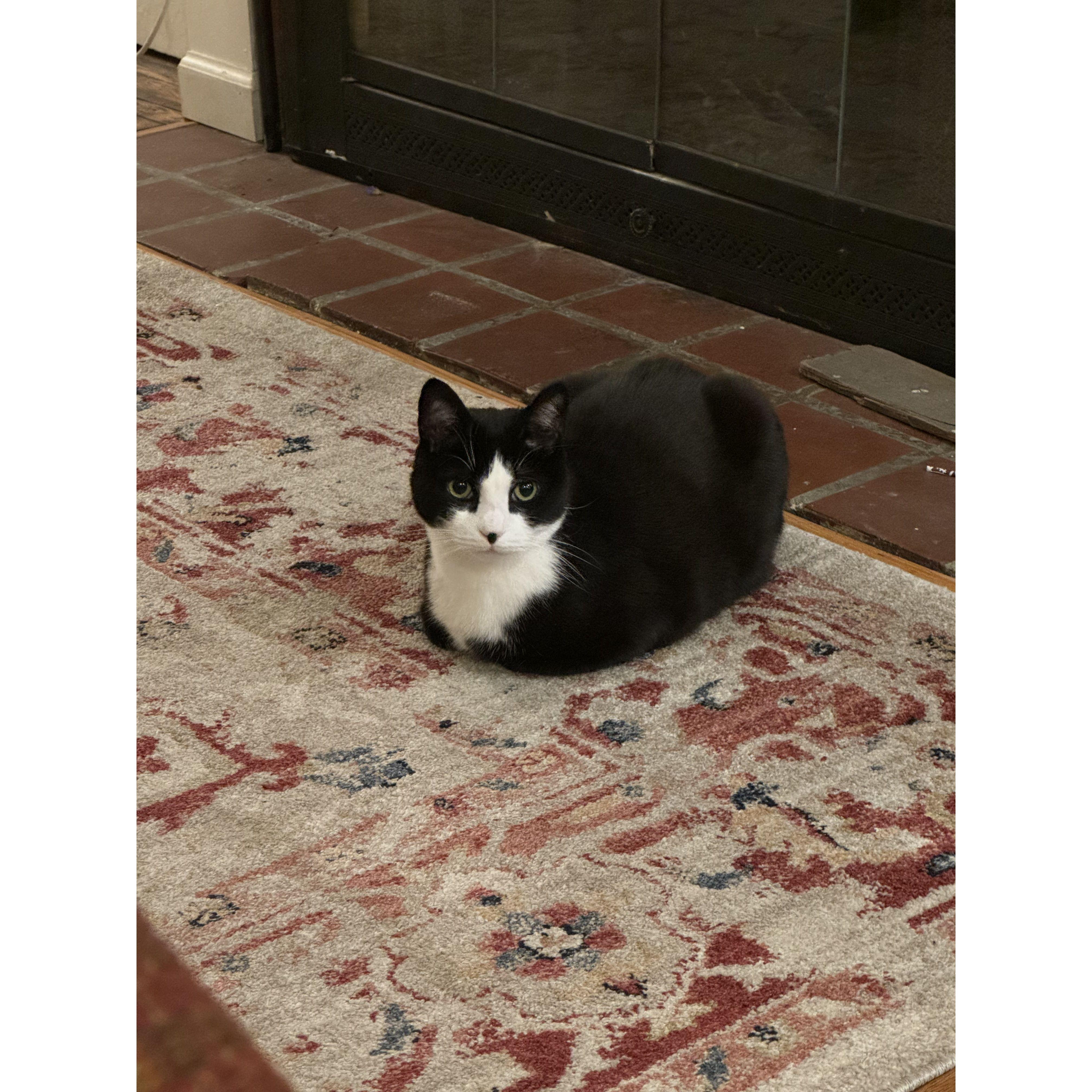 WHERE ARE HIS LEGS???