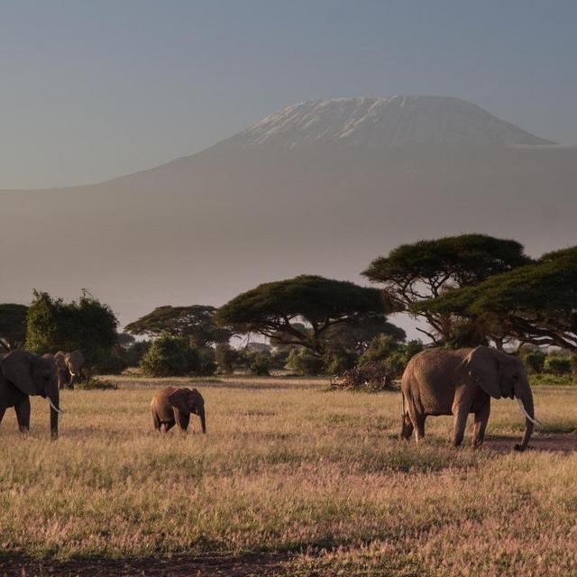 Our Honeymoon Fund - African Safari