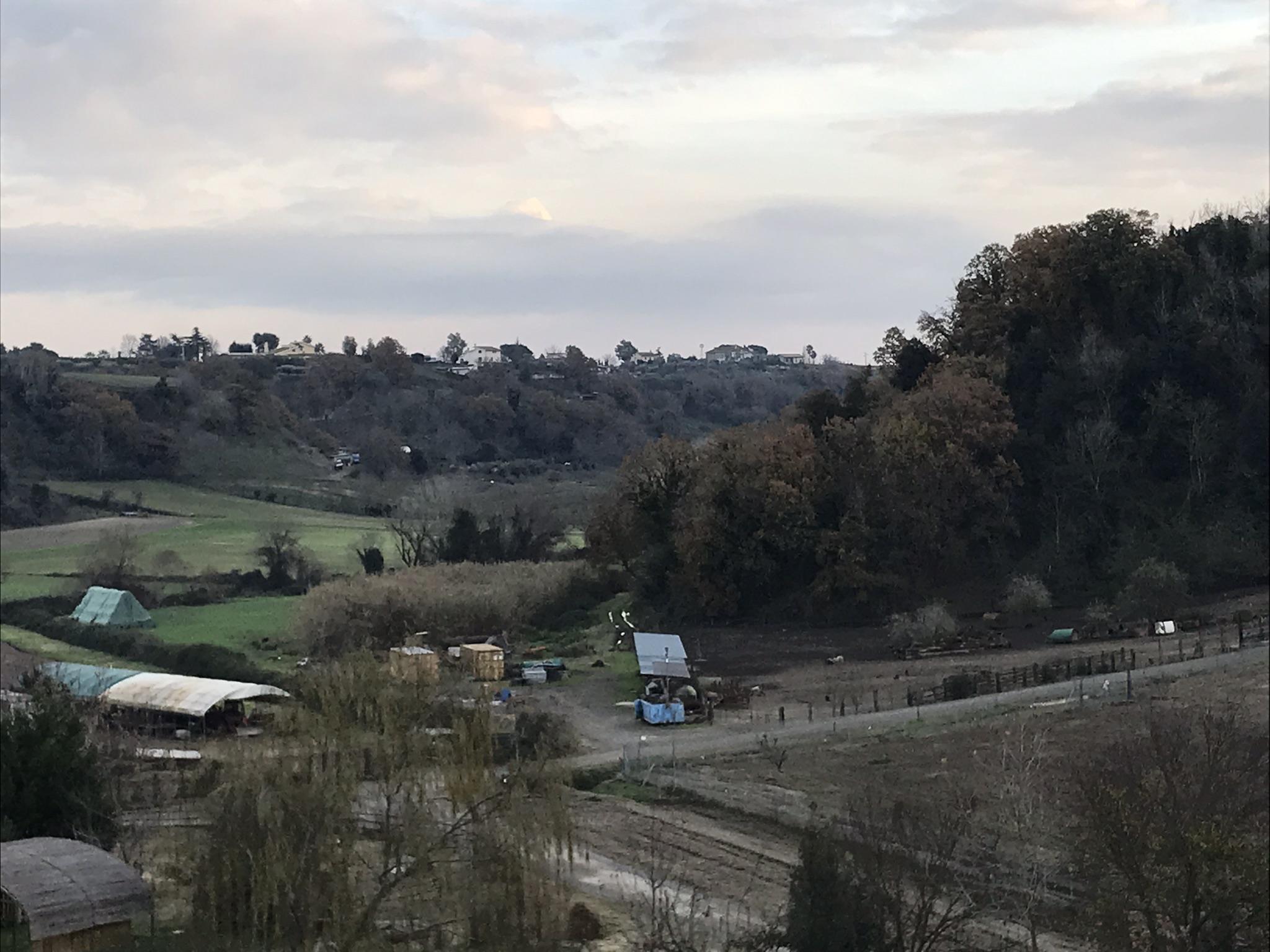 The Wedding Website of Jessica Lowing and Avram Rosenberg