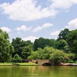 Freedom Park