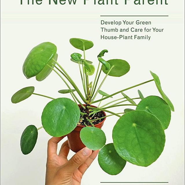 New Plant Parent: Develop Your Green Thumb and Care for Your House-Plant Family