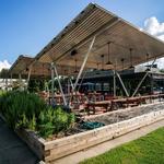 Legal Remedy Brewing