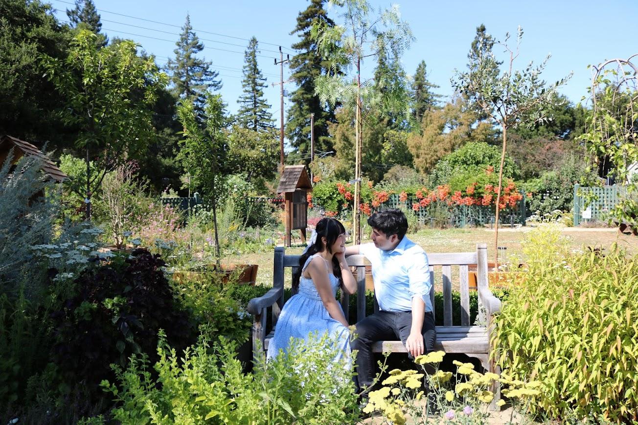 56dd31ba-88f5-42cd-817d-56ef679a48f3