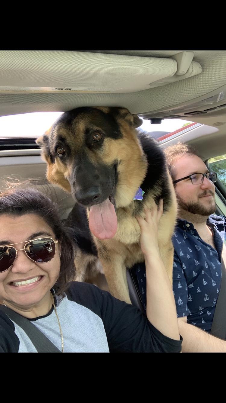 Family Adventure Times