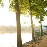The Savannah River