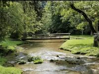 Steele Creek Park