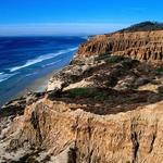 Torrey Pines State Reserve