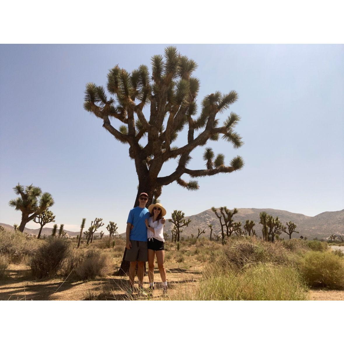 Matt visits Mariel in California after her last clinical rotation!