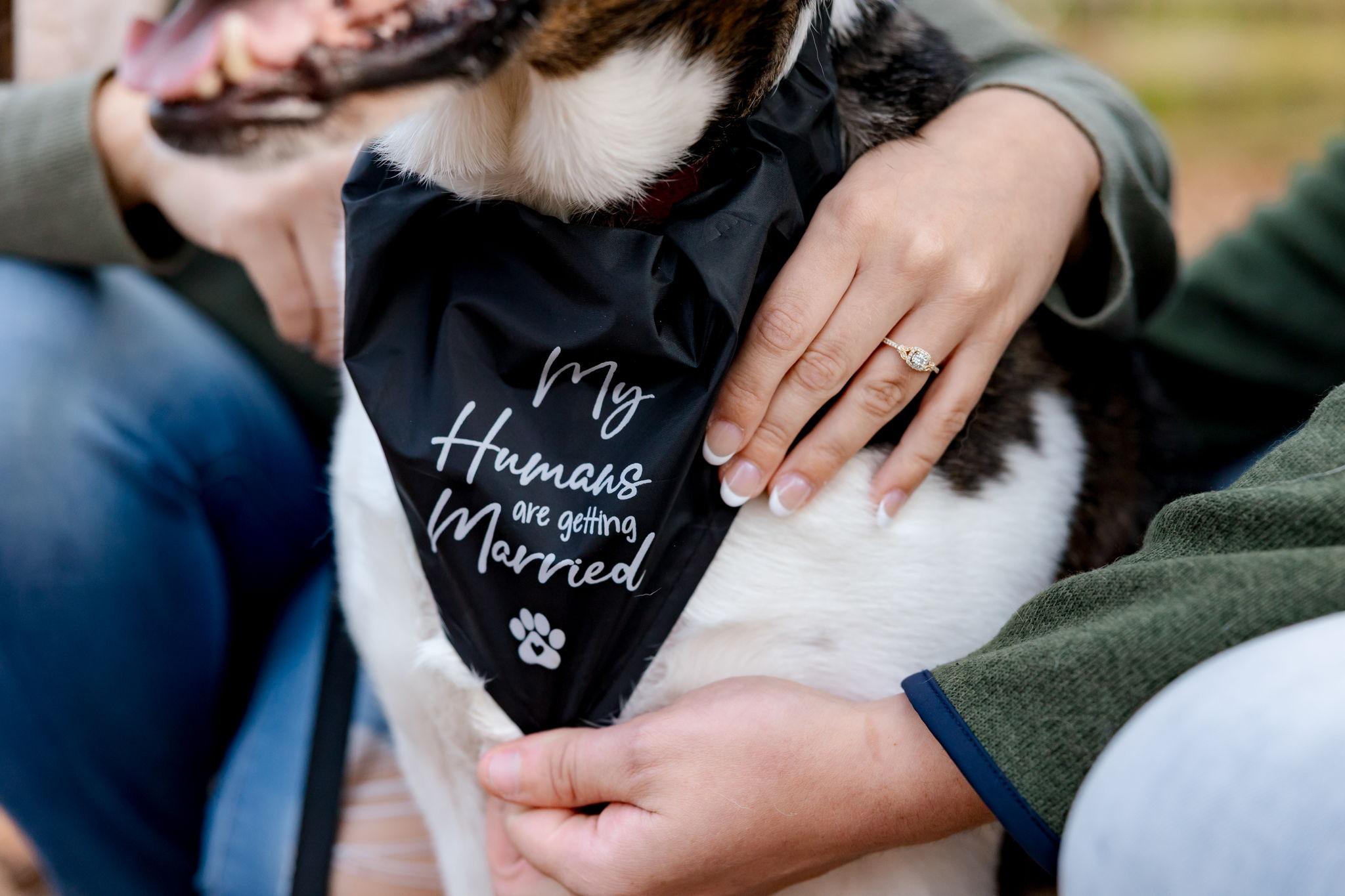 The Wedding Website of Jenna Kibbe and Justin Lareau