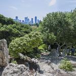 Zilker Botanical Garden