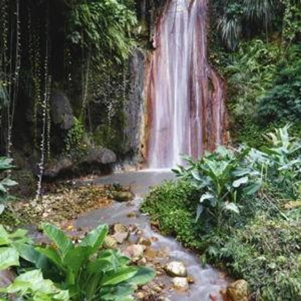 Waterfall Hike