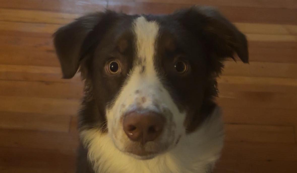 The Wedding Website of Alayna Steffen and Noah Neff