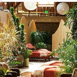 60-Minute Couples Massage
